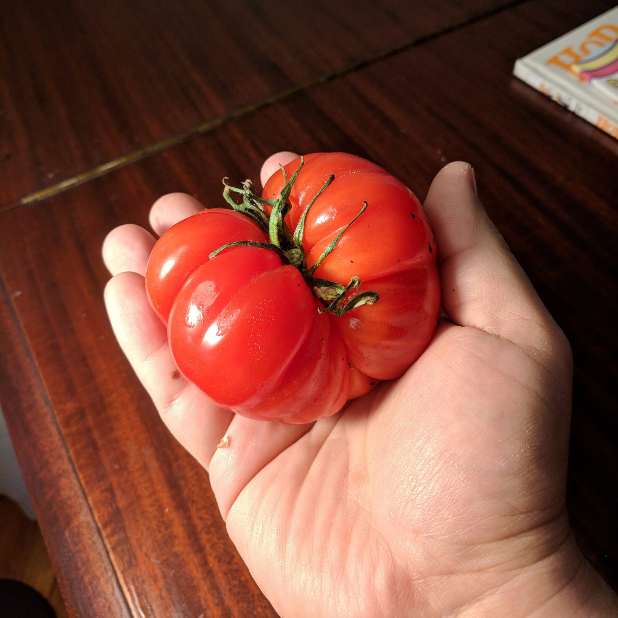 Sexiest Tomato